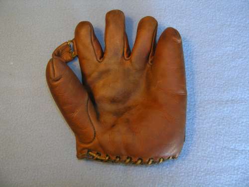 Jack Russell Red Wing 3 Front Doug